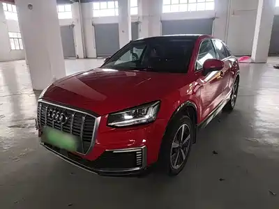 Audi Q2L e-tron 2020