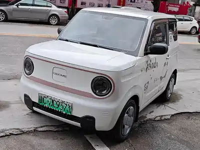 Geely Galaxy Panda 2024