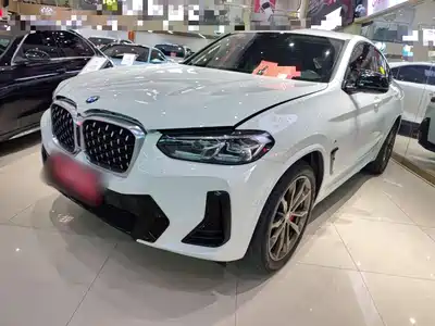 BMW X4 2022