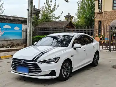 BYD Qin Pro 2021