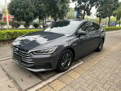 BYD Qin Pro 2021