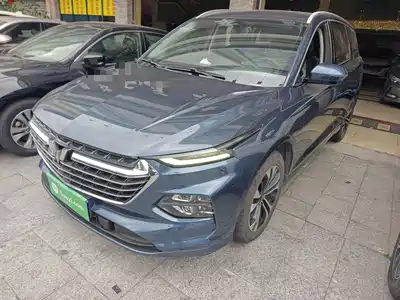 Wuling Motors Victory 2021
