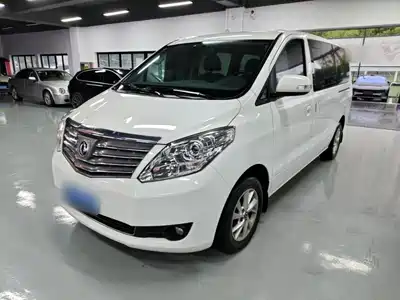 Dongfeng Fengxing Lingzhi PLUS 2021