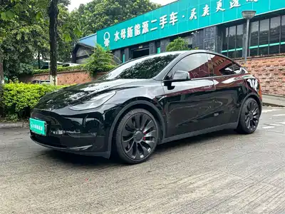 Tesla Model Y 2021