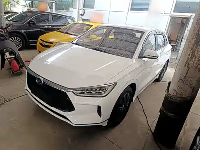 BYD e2 2019
