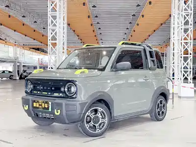 Geely Galaxy Panda 2024