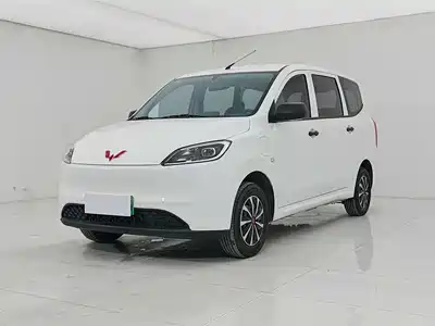 Wuling Motors Hongguang New Energy 2025