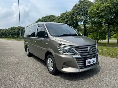 Dongfeng Fengxing Lingzhi 2021