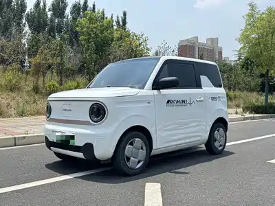 Geely Galaxy Panda 2024