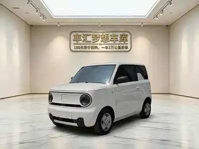 Geely Galaxy Panda 2023