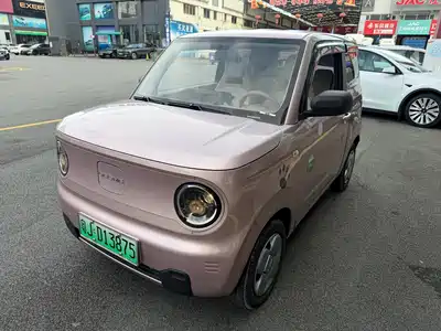 Geely Galaxy Panda 2023