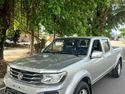 Dongfeng Ruiqi 2022