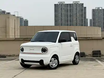 Geely Galaxy Panda 2025