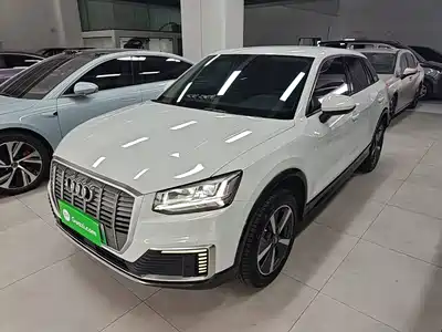 Audi Q2L e-tron 2021