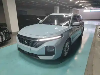 Baojun Valli 2022