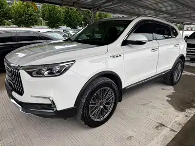 Leopaard Mattu 2018