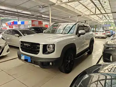 Haval Big Dog 2022