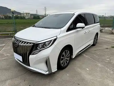 GAC Trumpchi M8 2020