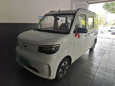 Wuling Motors Zhiguang NEV 2026