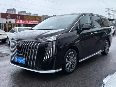 GAC Trumpchi M8 2024