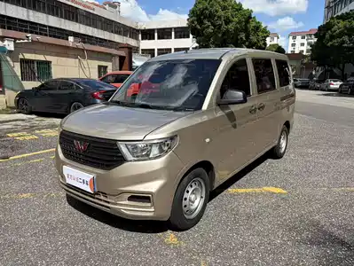 Wuling Motors Hongguang V 2020
