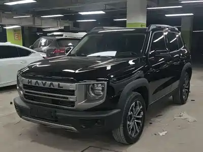 Haval Big Dog 2025