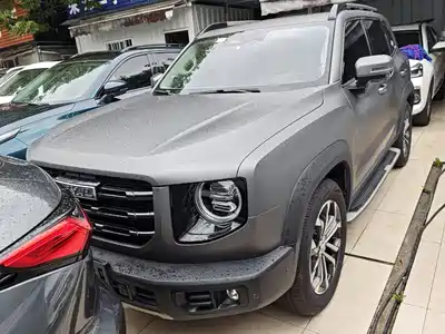 Haval Big Dog 2021