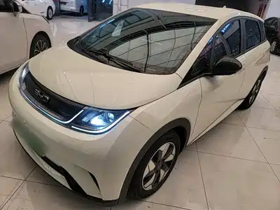 BYD Dolphin 2024