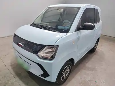 Dongfeng Fengguang MINIEV 2022
