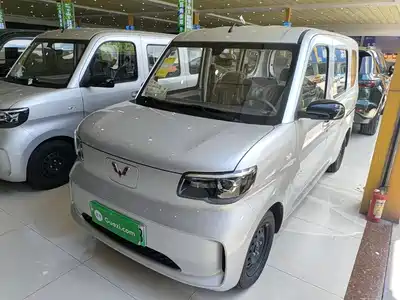 Wuling Motors Zhiguang NEV 2026