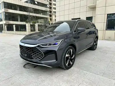 BYD Tang New Energy 2024
