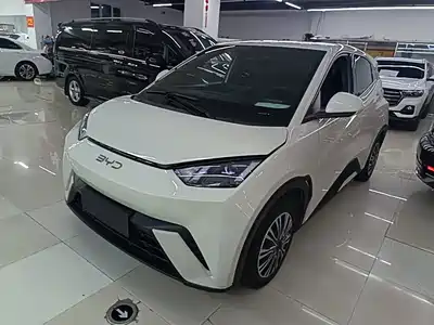 BYD Seagull 2024