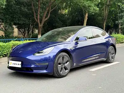 Tesla Model 3 (Import) 2019