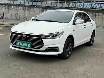 BYD Qin New Energy 2021