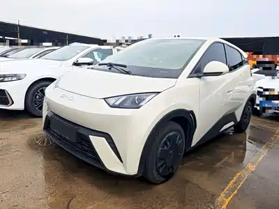 BYD Seagull 2025