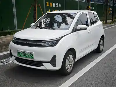 LeiDing Mango 2021