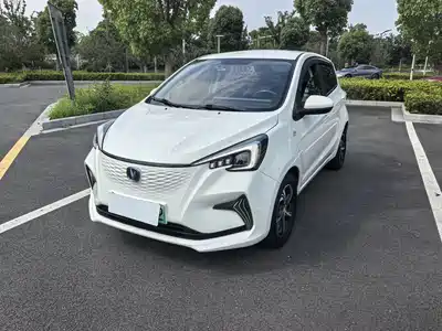 Changan Benben E-Star 2021