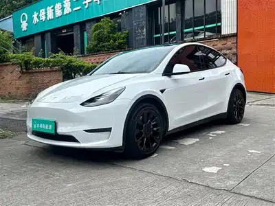 Tesla Model Y 2021