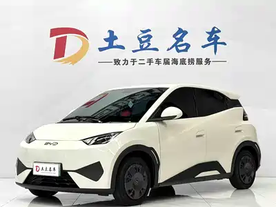 BYD Seagull 2025