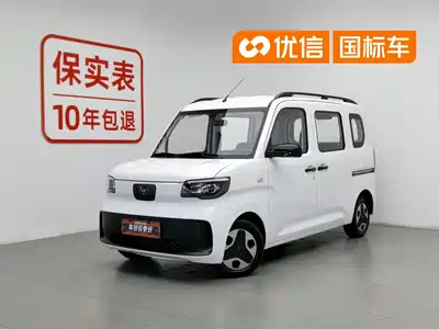 Wuling Motors Zhiguang NEV 2025