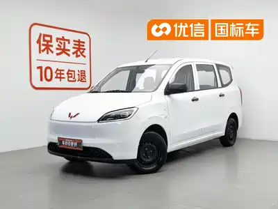 Wuling Motors Hongguang New Energy 2024