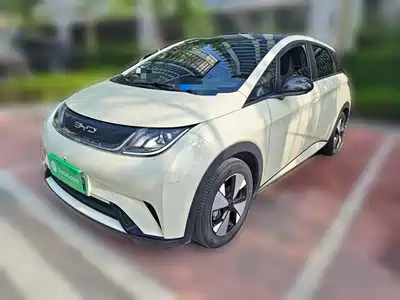 BYD Dolphin 2024