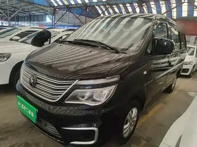 Dongfeng Fengxing Lingzhi 2022