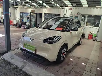 Wuling Motors Bingo 2025