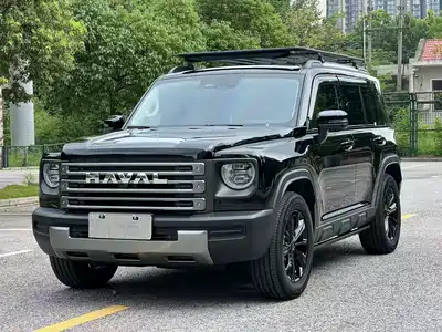 Haval Meng Long NEV 2025