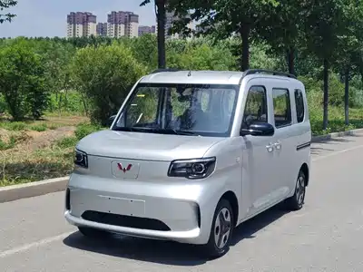 Wuling Motors Zhiguang NEV 2026