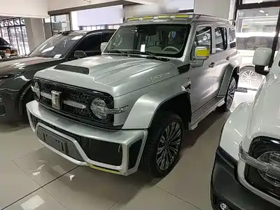 Crossboundary Auto Co-created Tank 300 2022