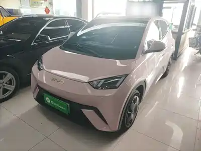BYD Seagull 2024