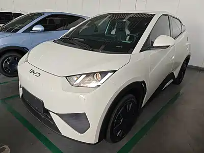 BYD Seagull 2026