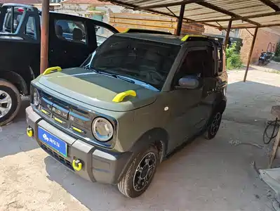 Geely Galaxy Panda 2025